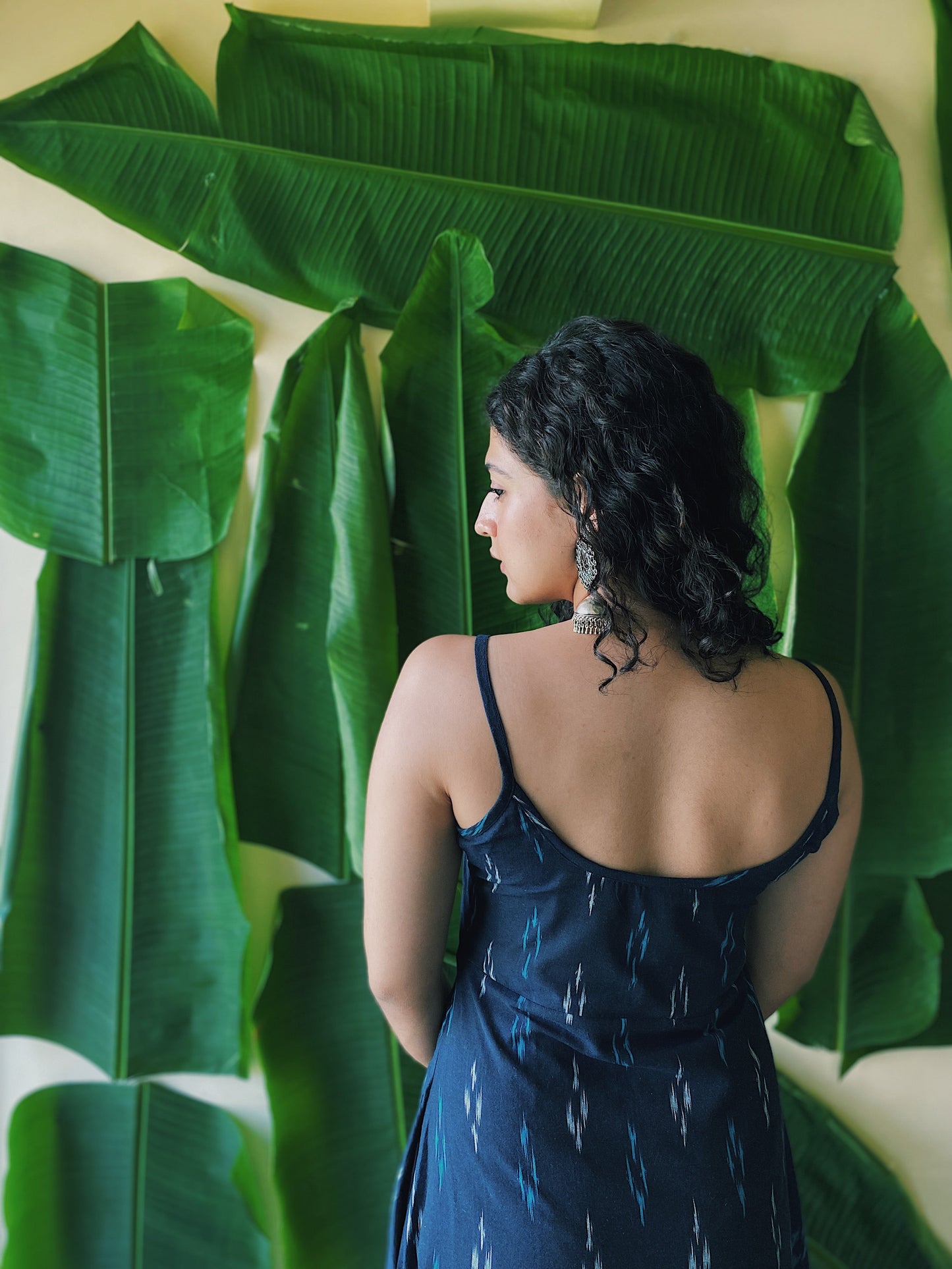 Vairam Ikat Dress and Inippu Jacket