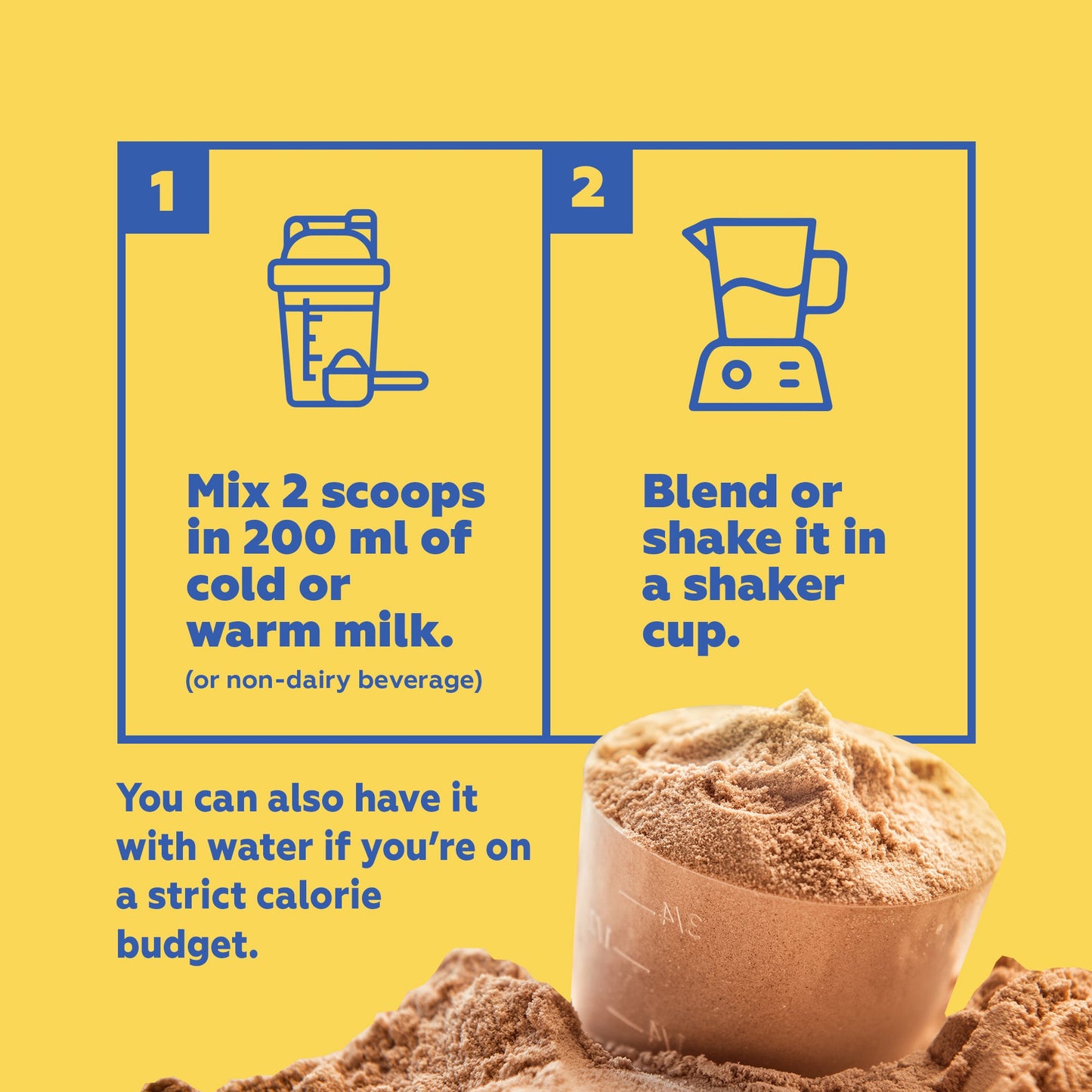 Probiotic - Powered Whey Protein Concentrate