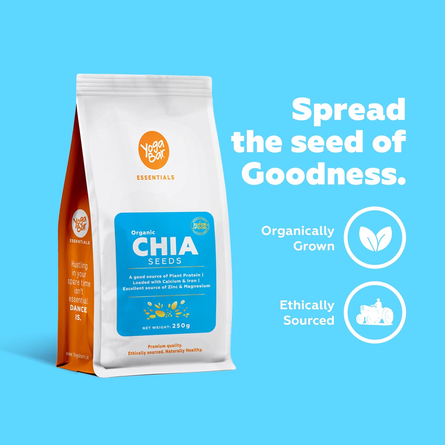 Organic Chia Seeds