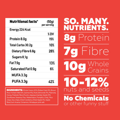 Apple Cinnamon Breakfast Bars